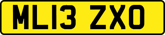 ML13ZXO