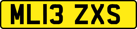 ML13ZXS