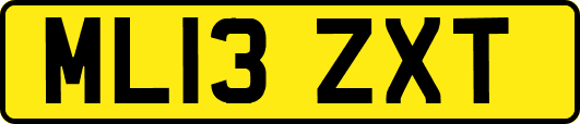 ML13ZXT