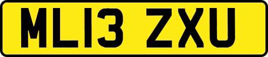 ML13ZXU