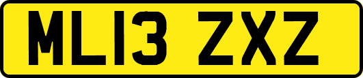 ML13ZXZ