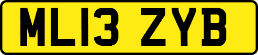 ML13ZYB