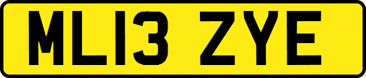 ML13ZYE