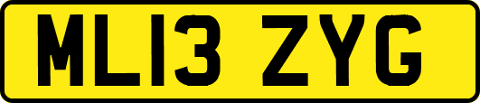 ML13ZYG