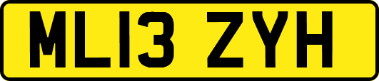 ML13ZYH