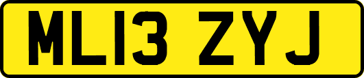 ML13ZYJ