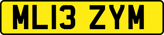 ML13ZYM