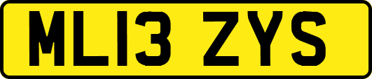 ML13ZYS