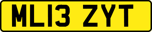 ML13ZYT