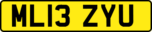 ML13ZYU