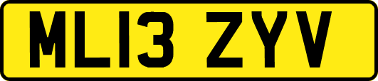 ML13ZYV