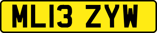 ML13ZYW