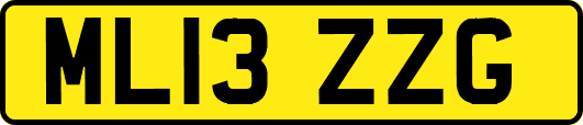 ML13ZZG