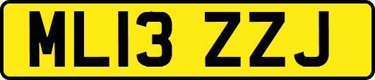 ML13ZZJ