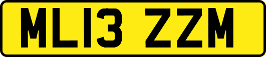 ML13ZZM