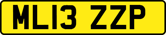 ML13ZZP