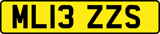 ML13ZZS