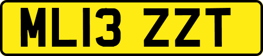 ML13ZZT