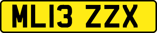 ML13ZZX