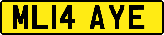 ML14AYE