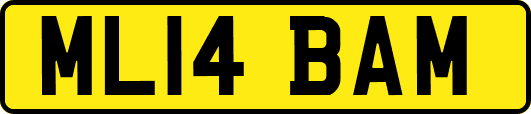 ML14BAM