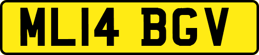 ML14BGV