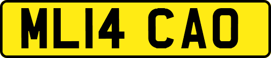 ML14CAO