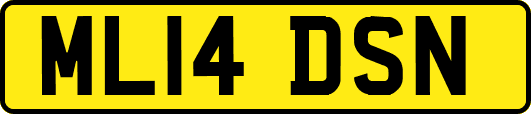 ML14DSN
