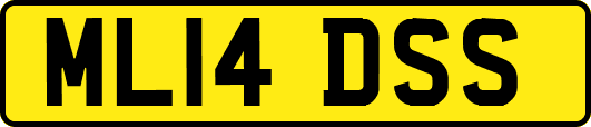 ML14DSS