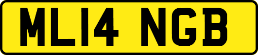 ML14NGB