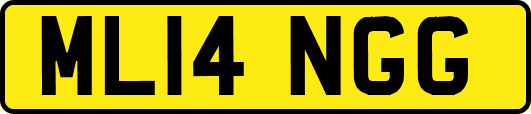 ML14NGG
