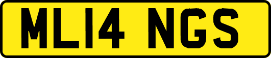 ML14NGS