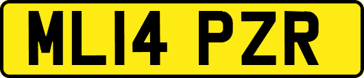 ML14PZR