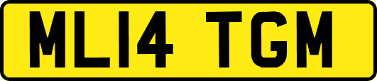 ML14TGM