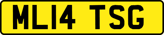 ML14TSG