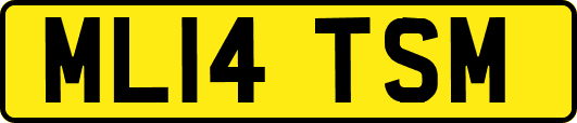 ML14TSM