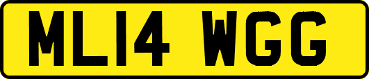 ML14WGG