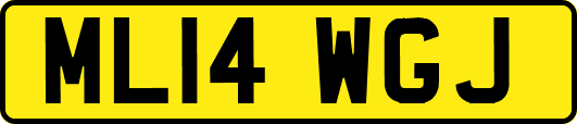 ML14WGJ