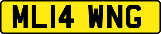 ML14WNG