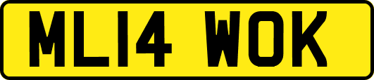 ML14WOK