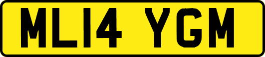 ML14YGM