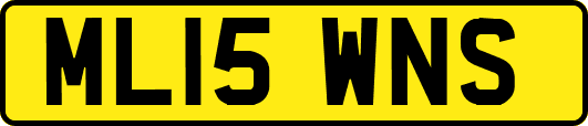 ML15WNS