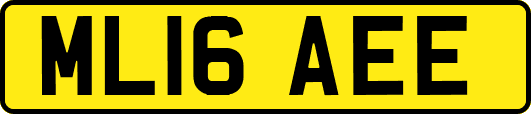 ML16AEE