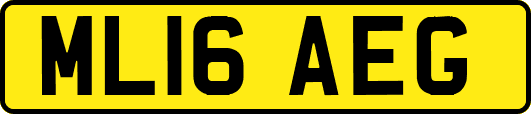 ML16AEG