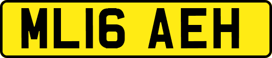 ML16AEH