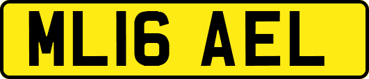 ML16AEL