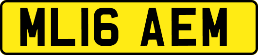 ML16AEM