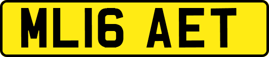 ML16AET