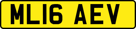ML16AEV