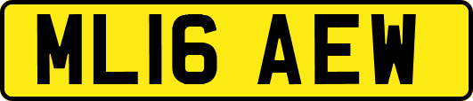 ML16AEW
